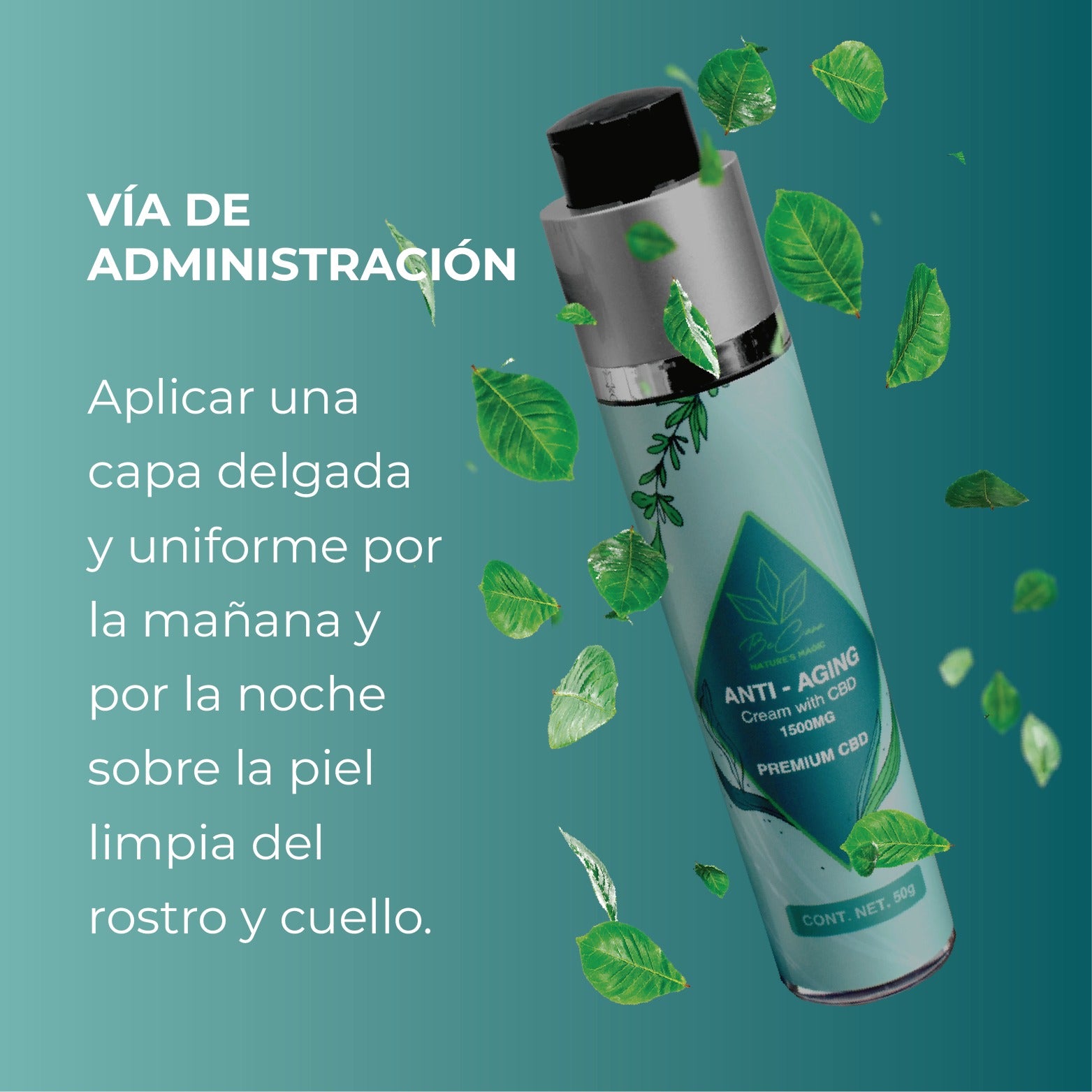 🧴 ANTI-AGING CBD CREAM | 1500 MG | 50g